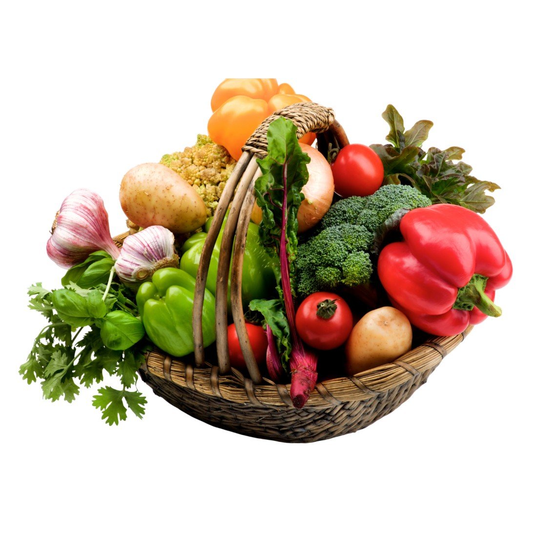 ugoh agro vegetables (1)